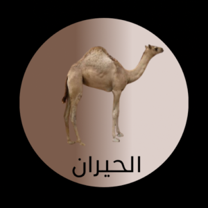 الحيران